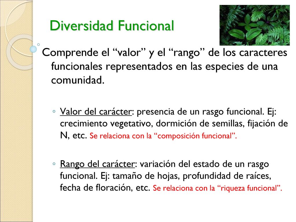 Diversidad Funcional Comprende el valor y el rango de los caracteres funcionales representados en las especies de una comunidad.
