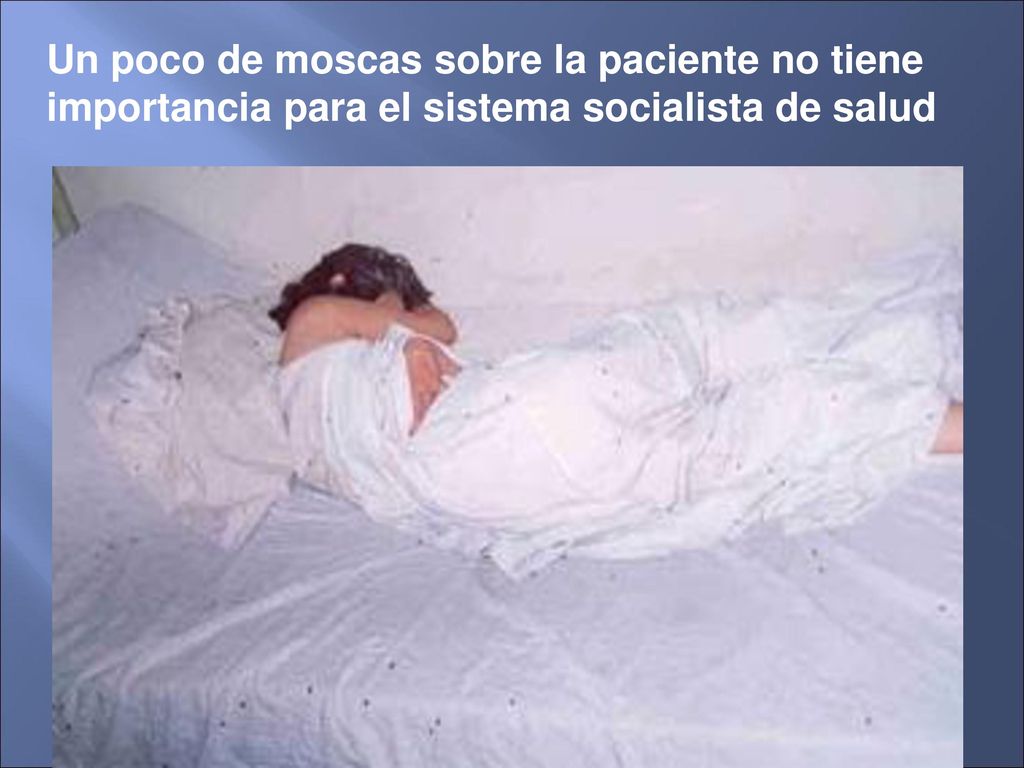 Un poco de moscas sobre la paciente no tiene importancia para el sistema socialista de salud