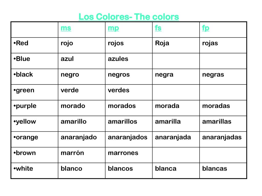 Los Colores- The colors