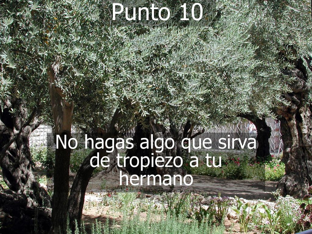 No hagas algo que sirva de tropiezo a tu hermano