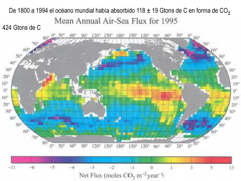 De 1800 a 1994 el océano mundial había absorbido 118 ± 19 Gtons de C en forma de CO2