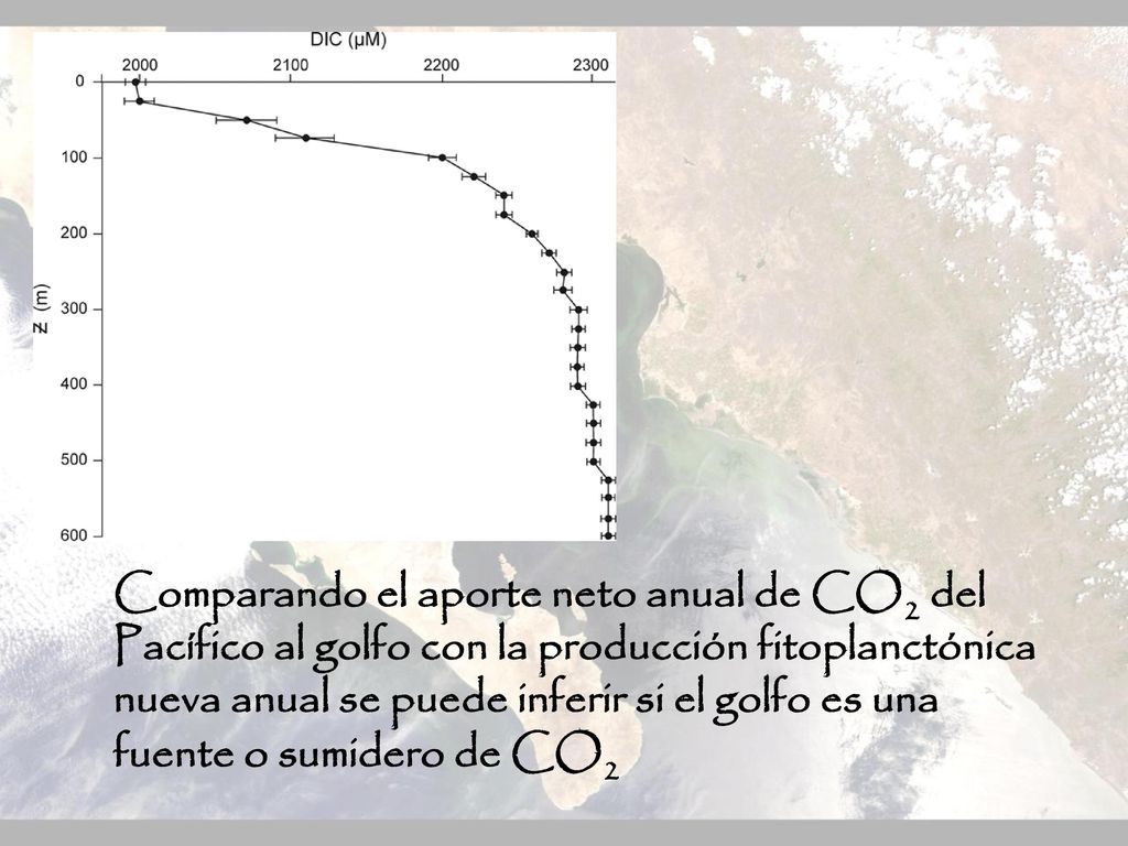 Comparando el aporte neto anual de CO2 del Pacífico al golfo con la producción fitoplanctónica nueva anual se puede inferir si el golfo es una fuente o sumidero de CO2