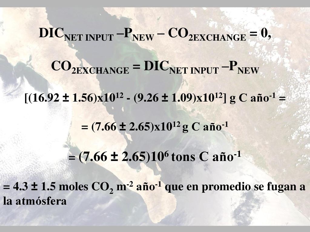 DICNET INPUT –PNEW – CO2EXCHANGE = 0, CO2EXCHANGE = DICNET INPUT –PNEW