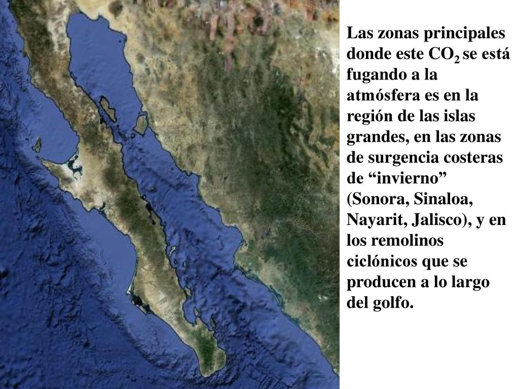 Las zonas principales donde este CO2 se está fugando a la atmósfera es en la región de las islas grandes, en las zonas de surgencia costeras de invierno (Sonora, Sinaloa, Nayarit, Jalisco), y en los remolinos ciclónicos que se producen a lo largo del golfo.