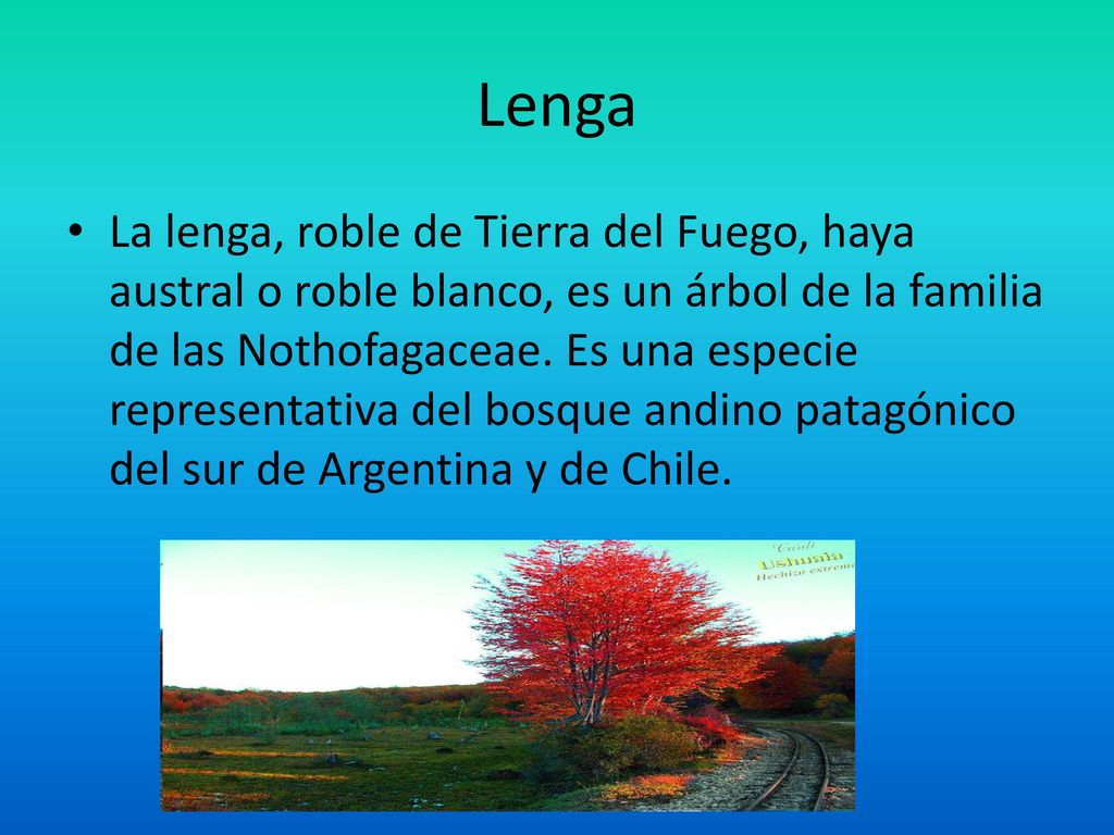 Flora y Fauna de Neuquén - ppt descargar Flora y Fauna de Neuquén - ppt descargar