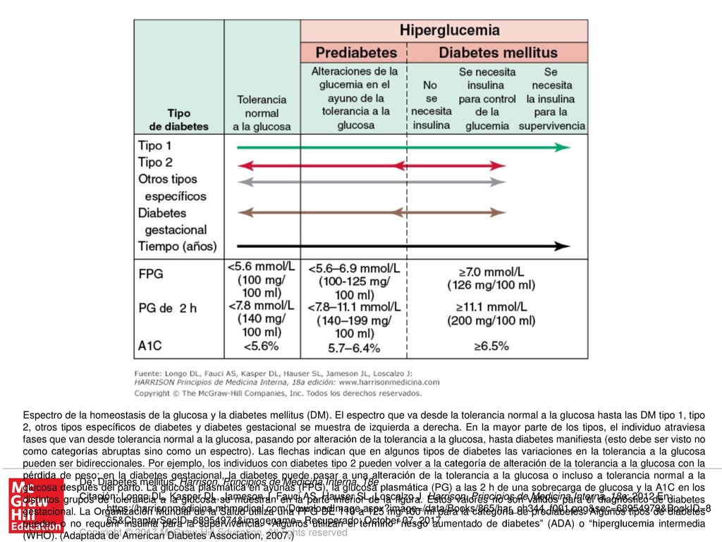 Espectro de la homeostasis de la glucosa y la diabetes mellitus (DM)