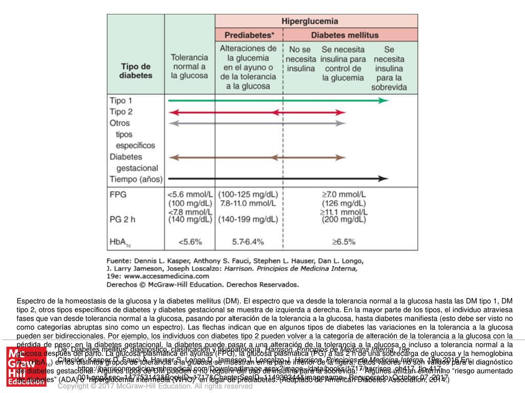Espectro de la homeostasis de la glucosa y la diabetes mellitus (DM)