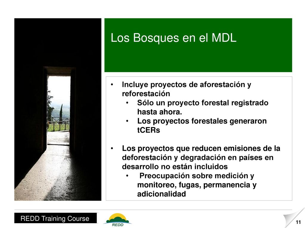 Los Bosques en el MDL Incluye proyectos de aforestación y reforestación. Sólo un proyecto forestal registrado hasta ahora.