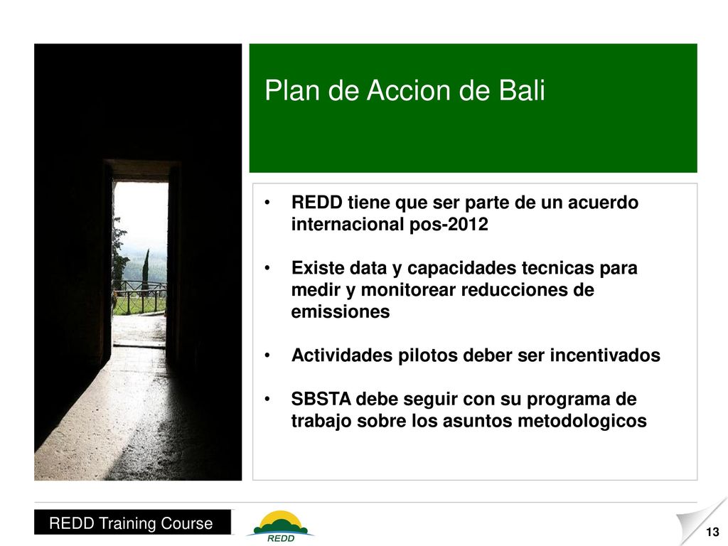 Plan de Accion de Bali REDD tiene que ser parte de un acuerdo internacional pos