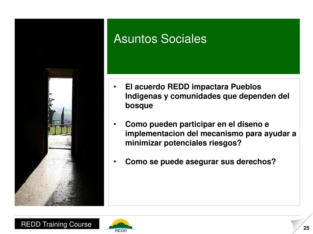 Asuntos Sociales El acuerdo REDD impactara Pueblos Indigenas y comunidades que dependen del bosque.