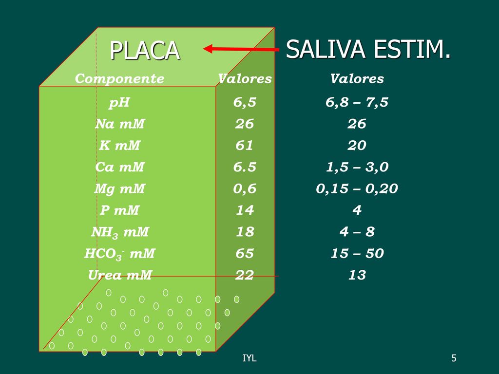 PLACA SALIVA ESTIM. Componente Valores pH 6,5 6,8 – 7,5 Na mM 26 K mM