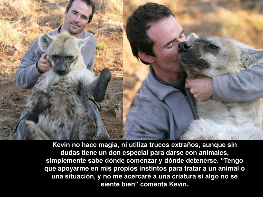 Kevin no hace magia, ni utiliza trucos extraños, aunque sin dudas tiene un don especial para darse con animales, simplemente sabe dónde comenzar y dónde detenerse.