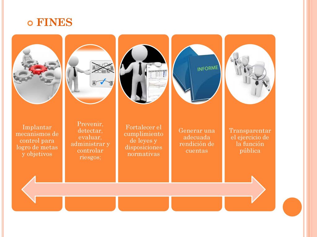 FINES Implantar mecanismos de control para logro de metas y objetivos
