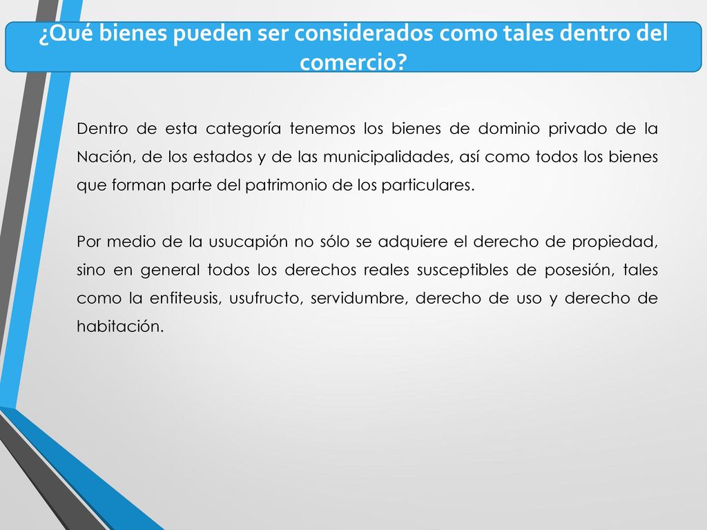¿Qué bienes pueden ser considerados como tales dentro del comercio