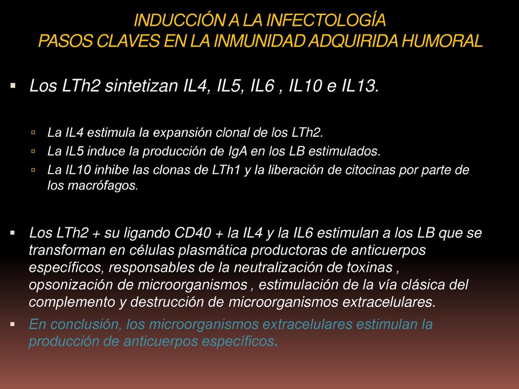 Los LTh2 sintetizan IL4, IL5, IL6 , IL10 e IL13.