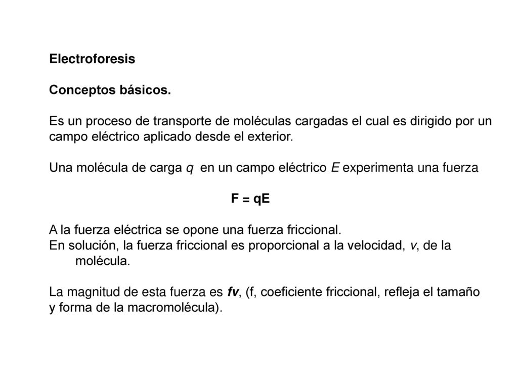 Electroforesis Conceptos básicos. Es un proceso de transporte de moléculas cargadas el cual es dirigido por un.