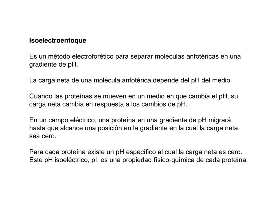 Isoelectroenfoque Es un método electroforético para separar moléculas anfotéricas en una. gradiente de pH.