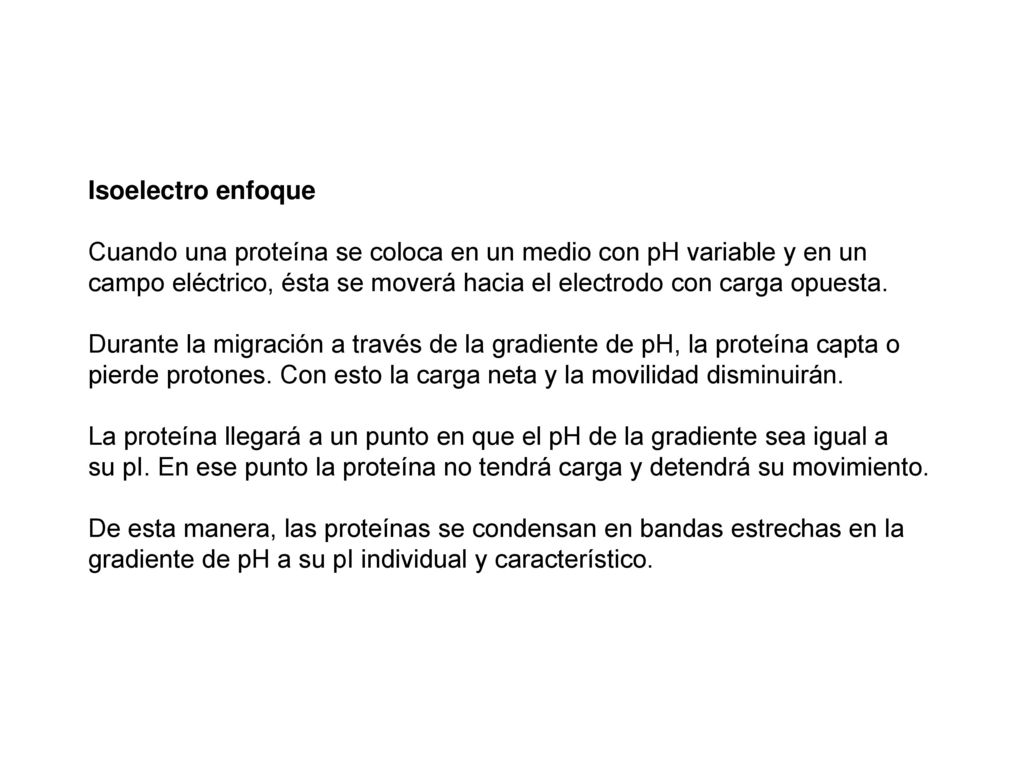 Isoelectro enfoque Cuando una proteína se coloca en un medio con pH variable y en un.