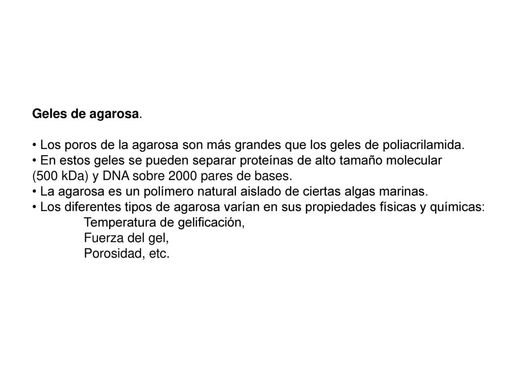 Geles de agarosa. Los poros de la agarosa son más grandes que los geles de poliacrilamida.