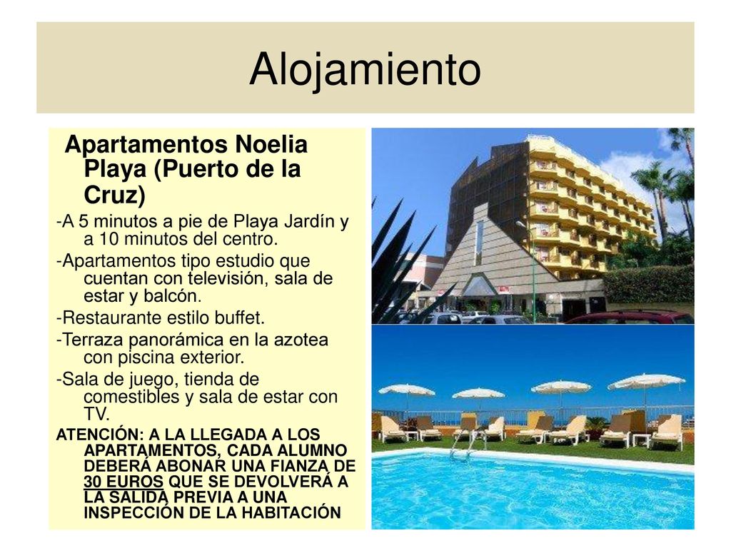 Alojamiento Apartamentos Noelia Playa (Puerto de la Cruz)