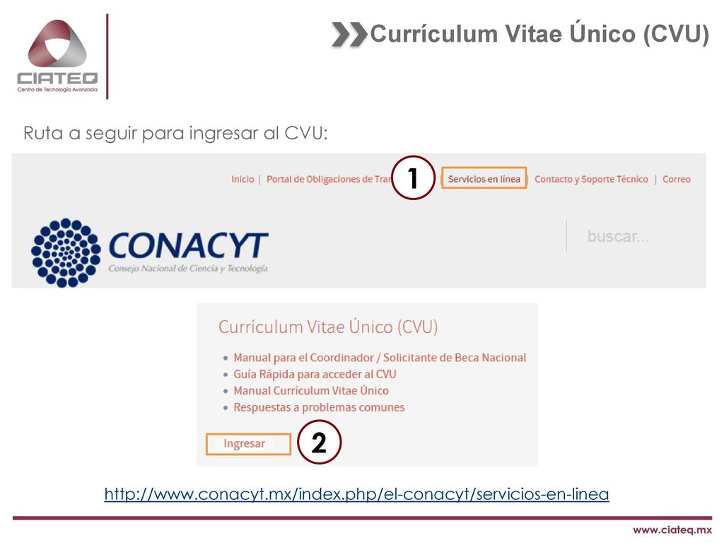 1 2 Currículum Vitae Único (CVU) Ruta a seguir para ingresar al CVU: