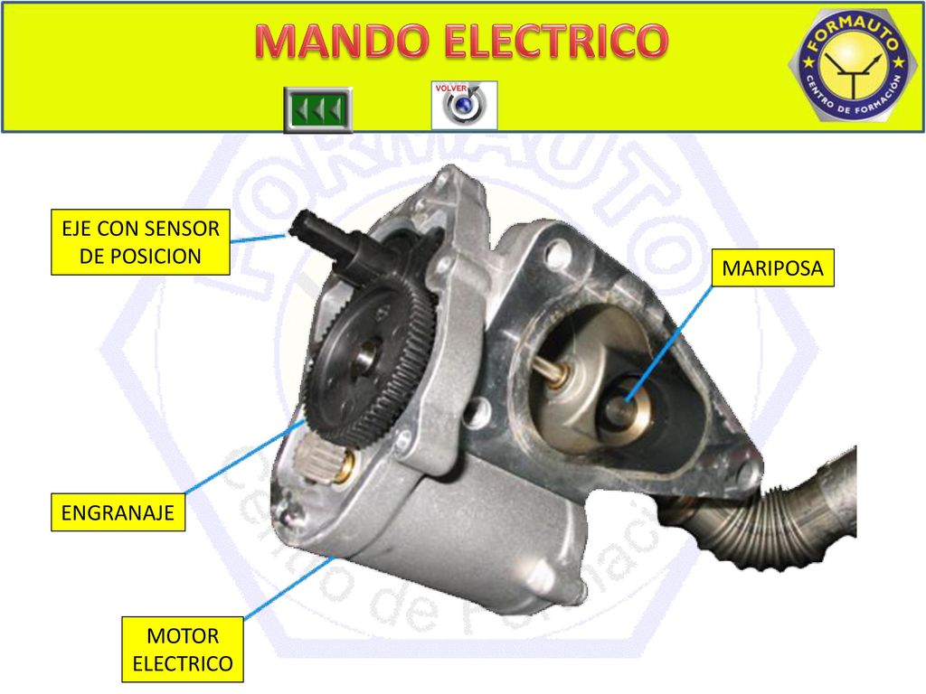 MANDO ELECTRICO EJE CON SENSOR DE POSICION MARIPOSA ENGRANAJE MOTOR