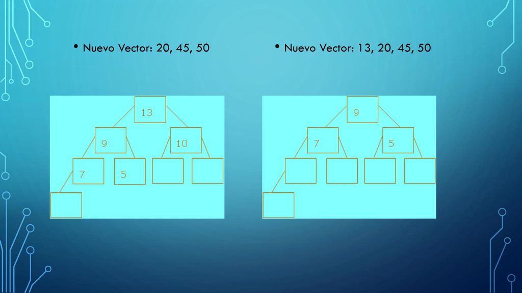 Nuevo Vector: 20, 45, 50 Nuevo Vector: 13, 20, 45, 50