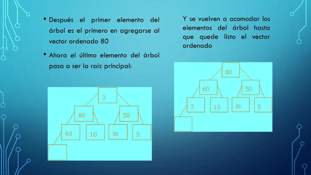 Después el primer elemento del árbol es el primero en agregarse al vector ordenado 80