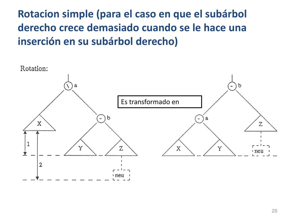 Rotacion simple (para el caso en que el subárbol derecho crece demasiado cuando se le hace una inserción en su subárbol derecho)