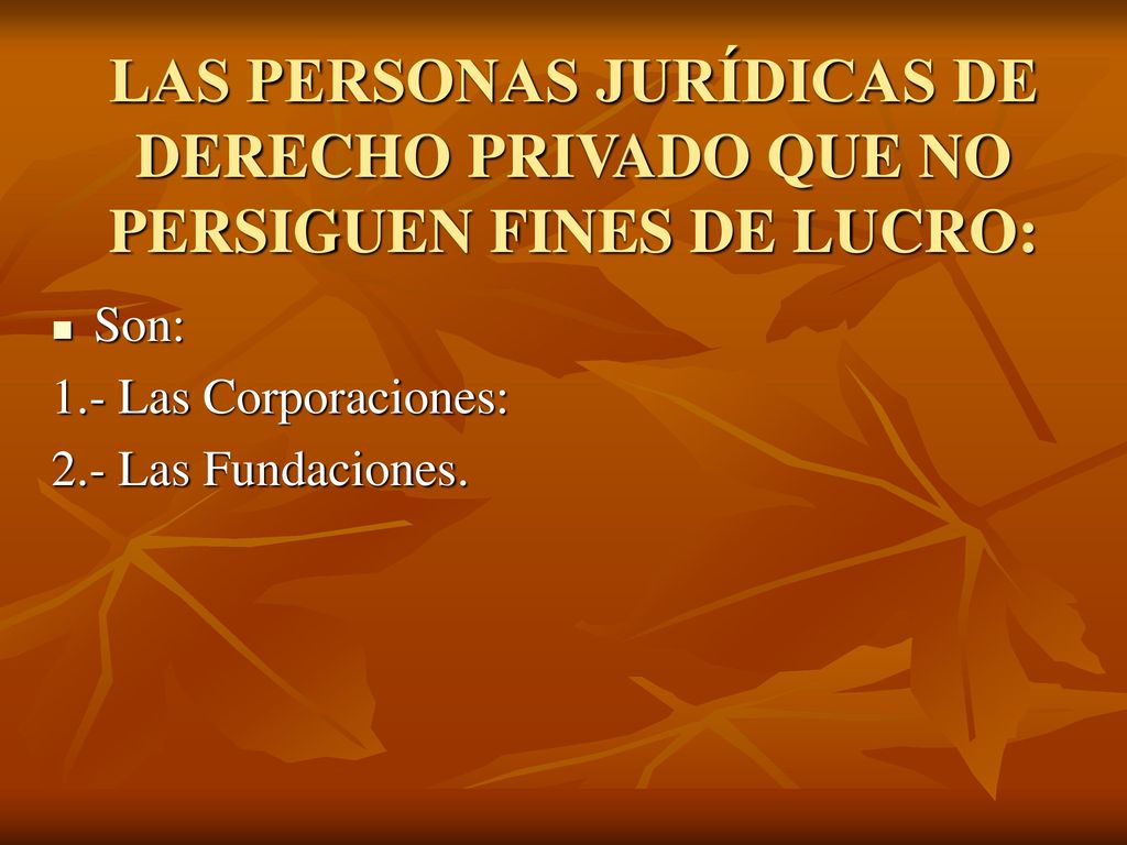 LAS PERSONAS JURÍDICAS DE DERECHO PRIVADO QUE NO PERSIGUEN FINES DE LUCRO: