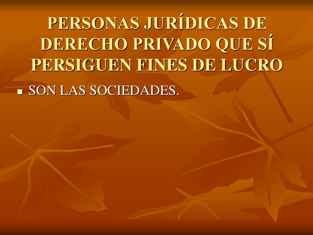 PERSONAS JURÍDICAS DE DERECHO PRIVADO QUE SÍ PERSIGUEN FINES DE LUCRO