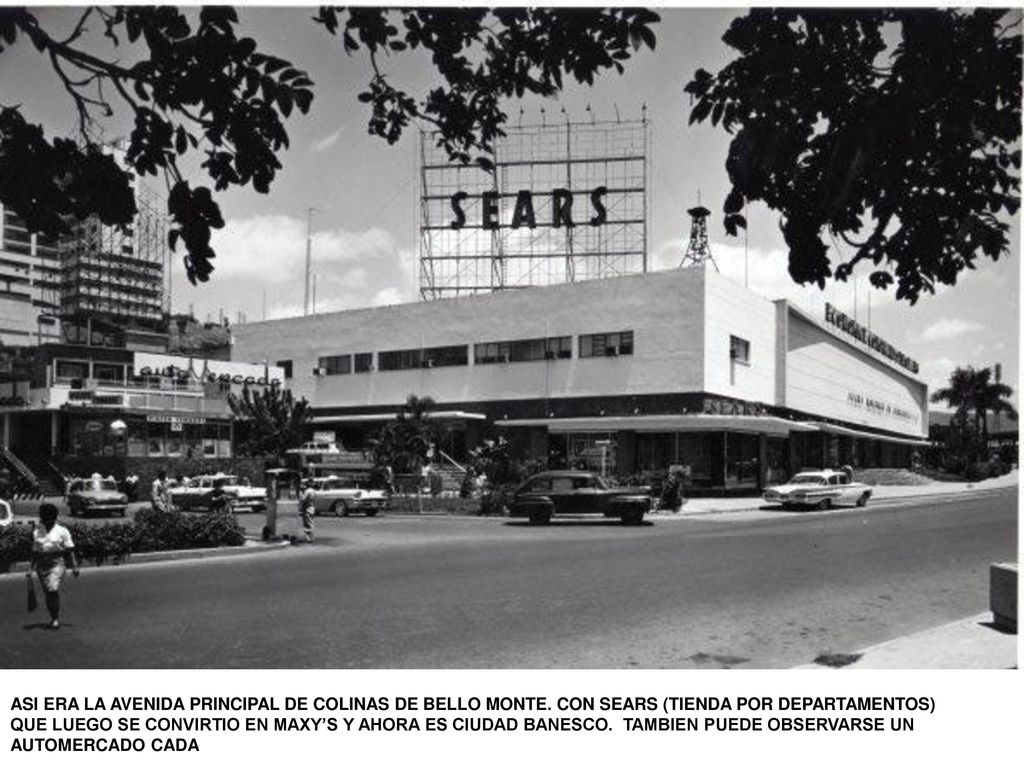 ASI ERA LA AVENIDA PRINCIPAL DE COLINAS DE BELLO MONTE