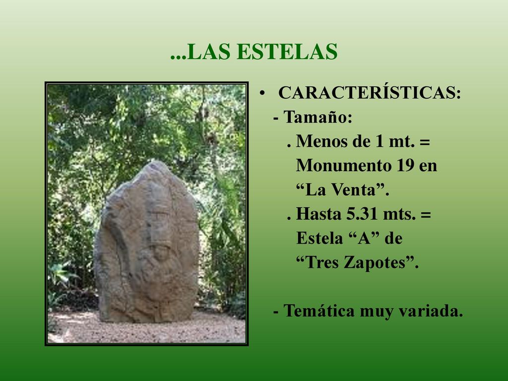...LAS ESTELAS CARACTERÍSTICAS: - Tamaño: . Menos de 1 mt. =