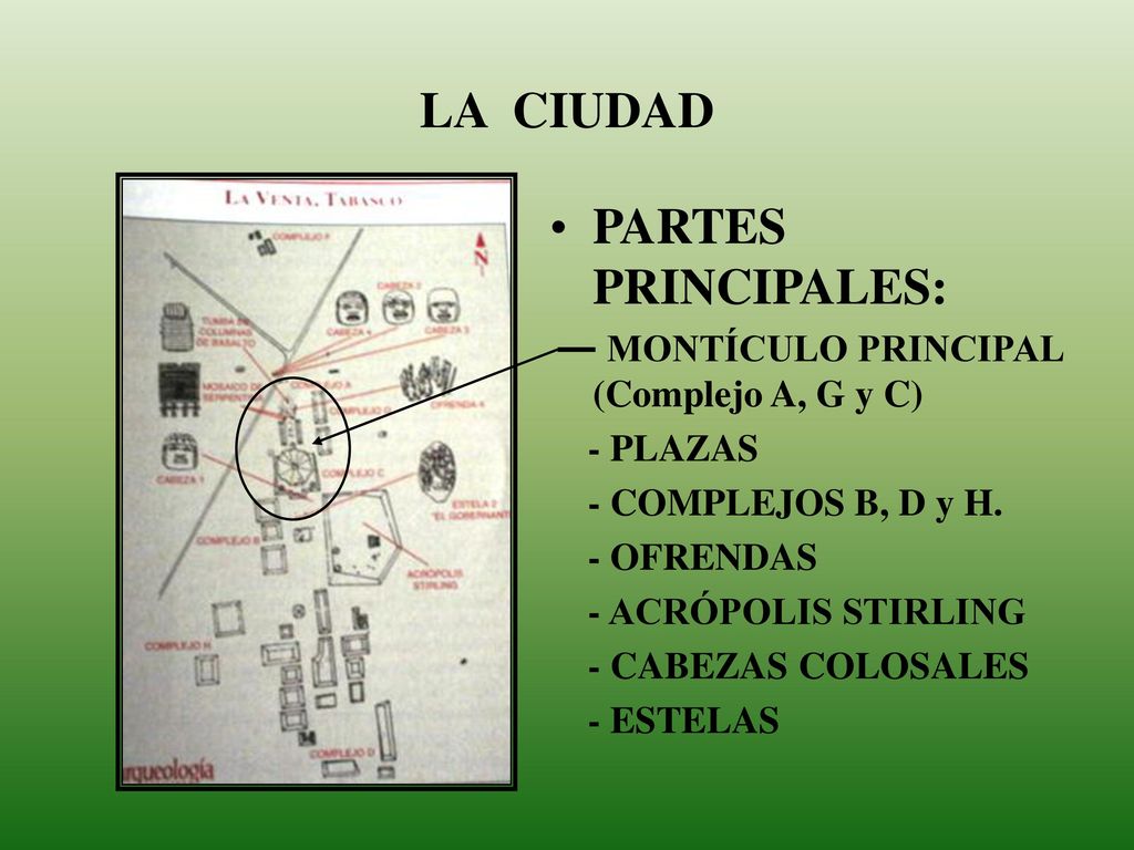LA CIUDAD PARTES PRINCIPALES: MONTÍCULO PRINCIPAL (Complejo A, G y C)