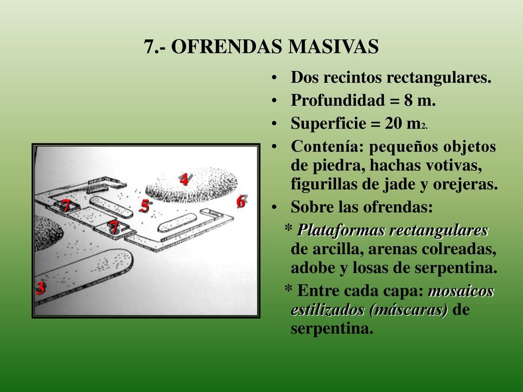 7.- OFRENDAS MASIVAS Dos recintos rectangulares. Profundidad = 8 m.
