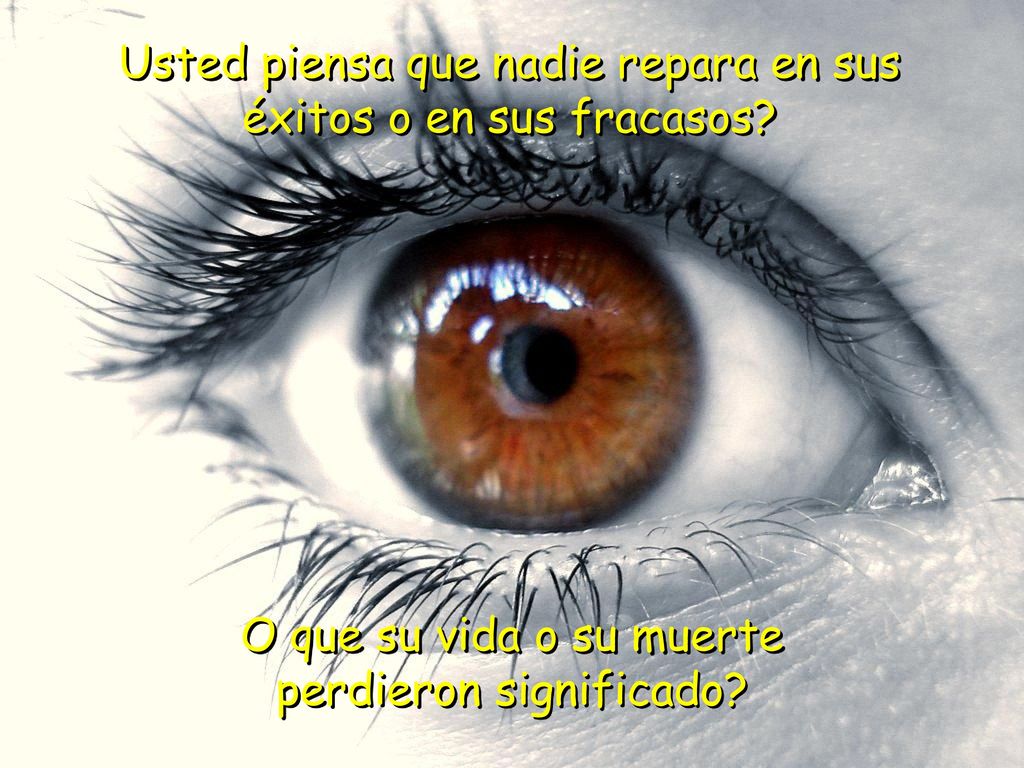 Usted piensa que nadie repara en sus éxitos o en sus fracasos