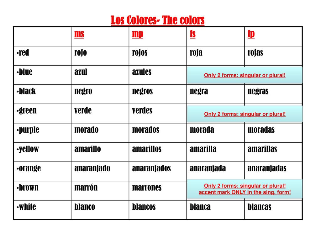 Los Colores- The colors