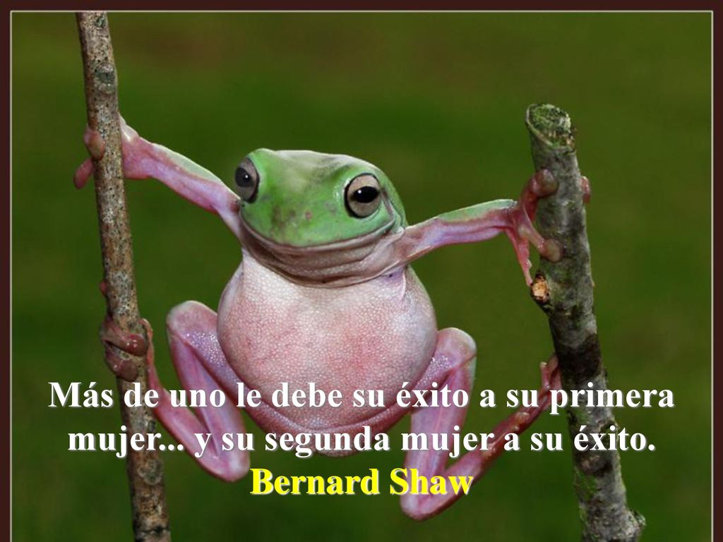 Más de uno le debe su éxito a su primera mujer