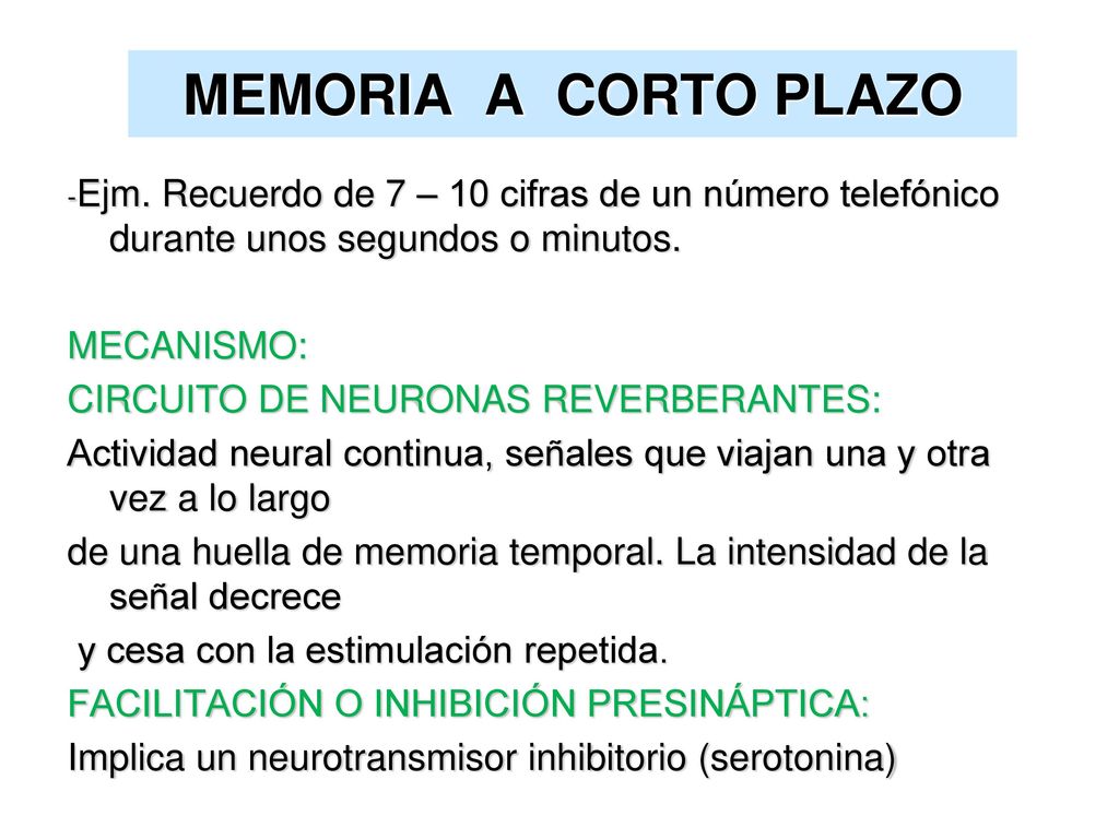 MEMORIA A CORTO PLAZO MECANISMO: CIRCUITO DE NEURONAS REVERBERANTES: