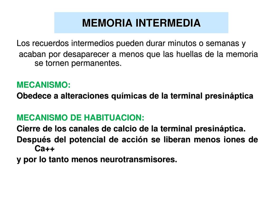 MEMORIA INTERMEDIA Los recuerdos intermedios pueden durar minutos o semanas y.