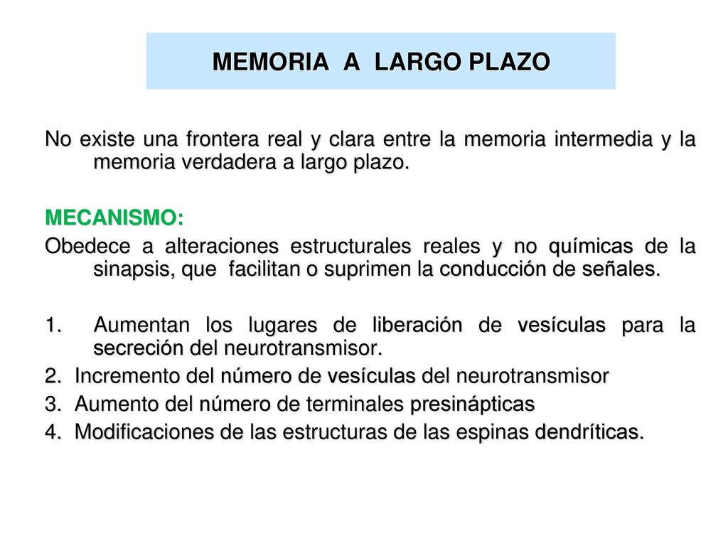 MEMORIA A LARGO PLAZO No existe una frontera real y clara entre la memoria intermedia y la memoria verdadera a largo plazo.