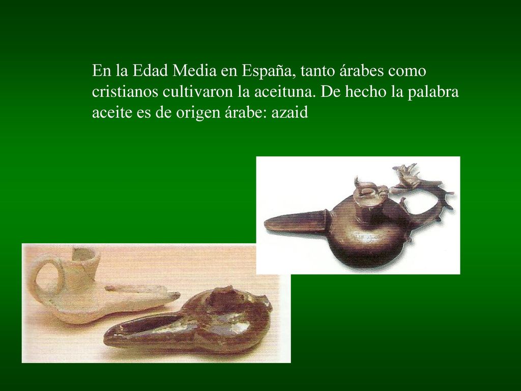 En la Edad Media en España, tanto árabes como cristianos cultivaron la aceituna.