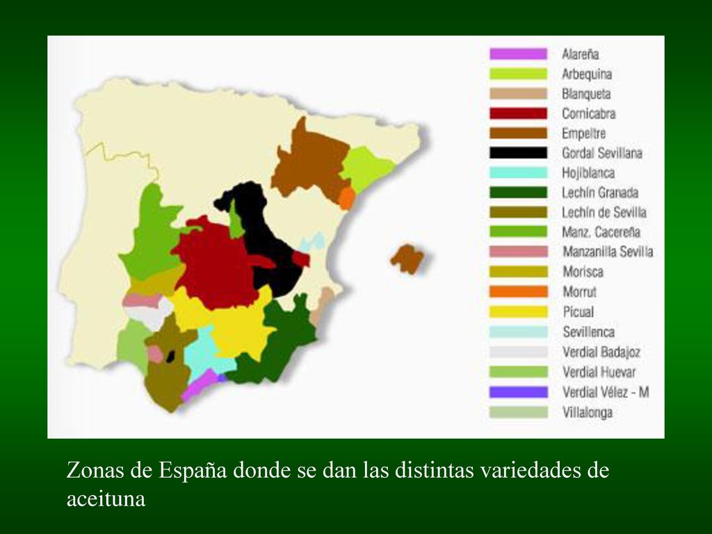 Zonas de España donde se dan las distintas variedades de aceituna