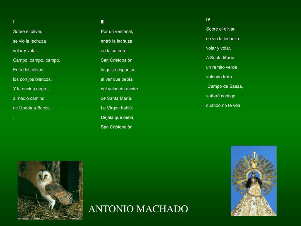 ANTONIO MACHADO IV Sobre el olivar, se vio la lechuza volar y volar.