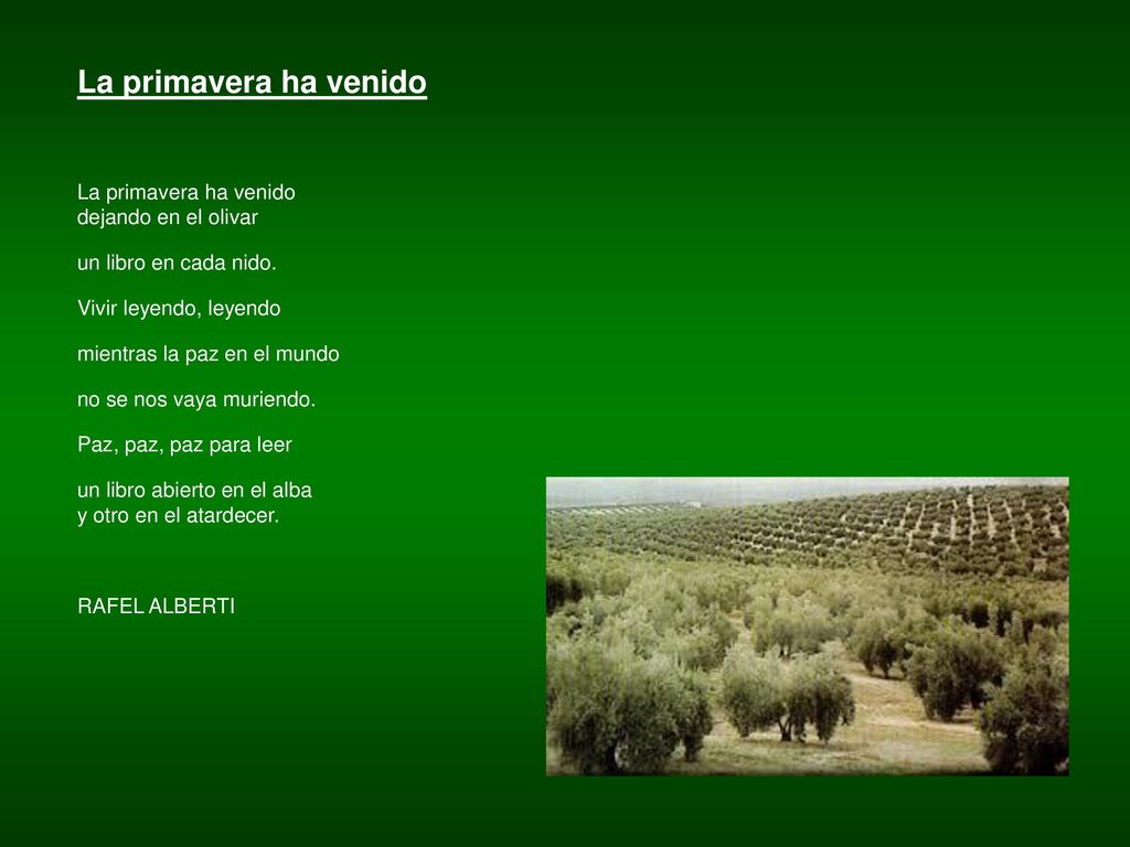 La primavera ha venido La primavera ha venido dejando en el olivar. un libro en cada nido. Vivir leyendo, leyendo.