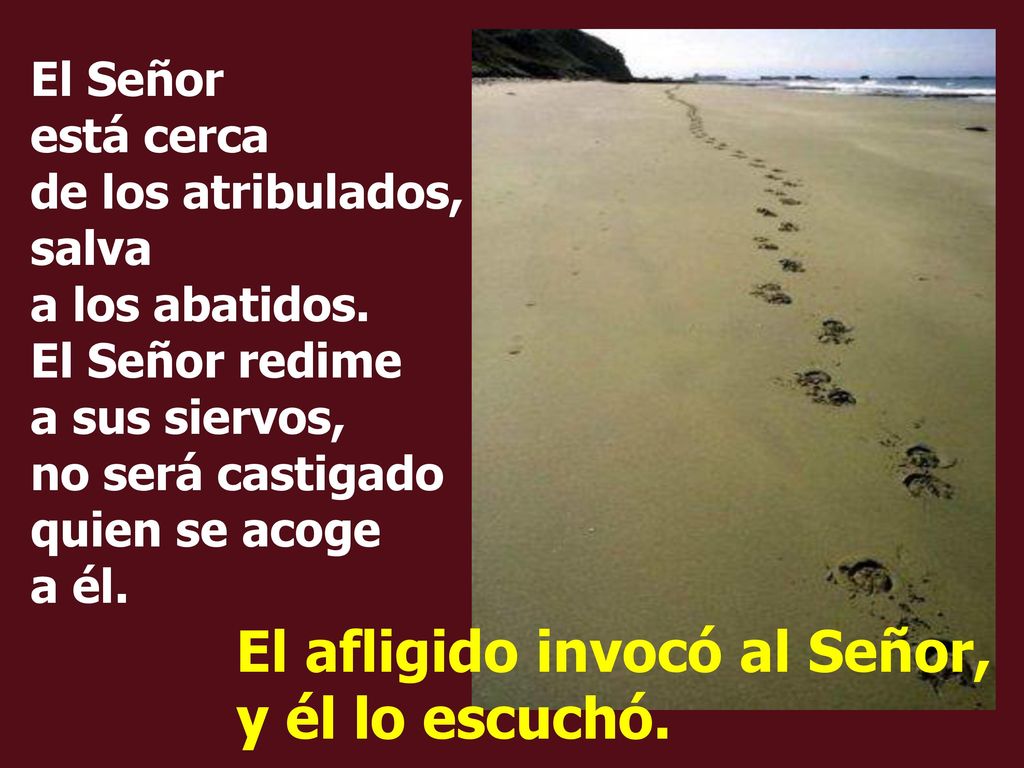 El afligido invocó al Señor, y él lo escuchó.