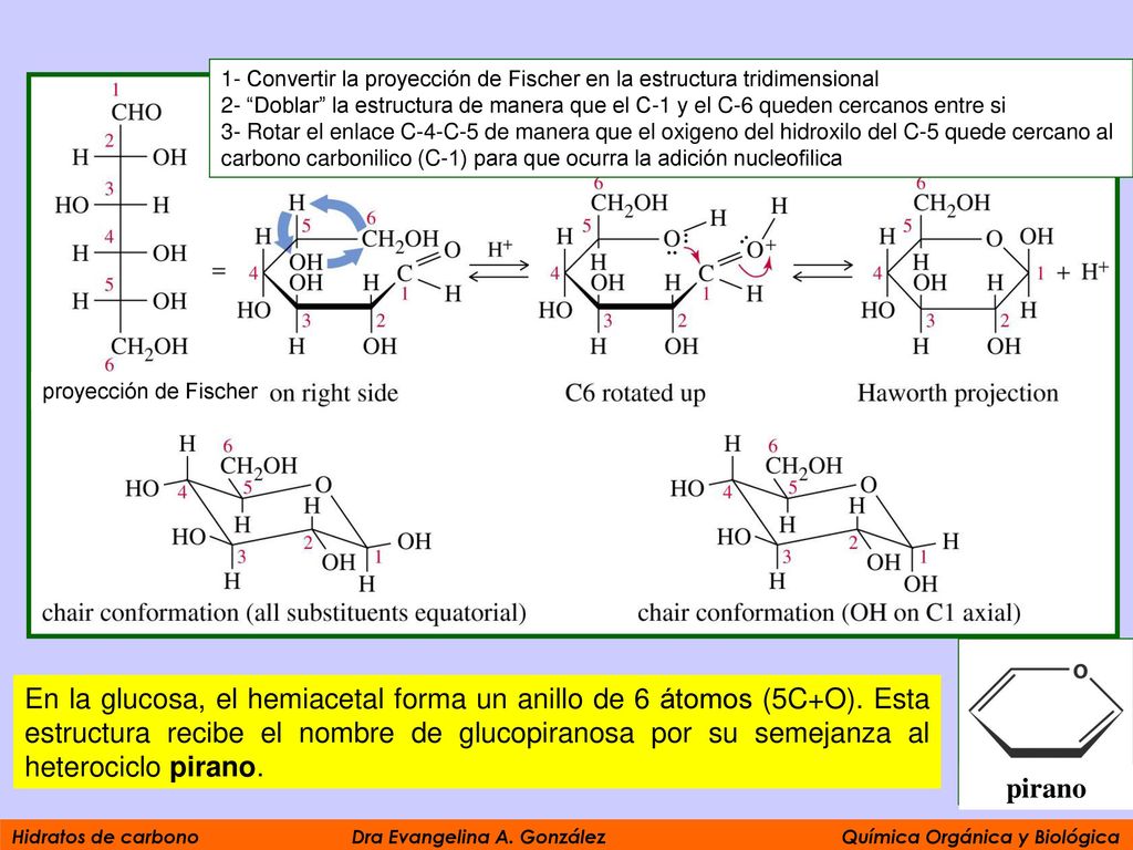 1- Convertir la proyección de Fischer en la estructura tridimensional