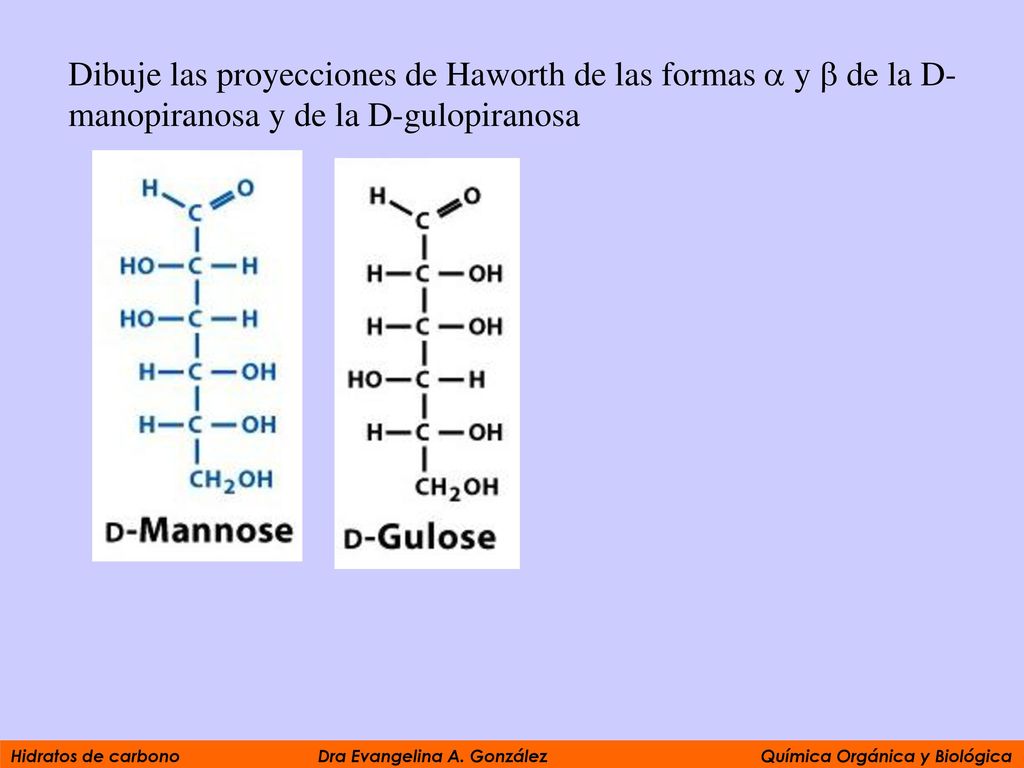 Dibuje las proyecciones de Haworth de las formas  y  de la D-manopiranosa y de la D-gulopiranosa