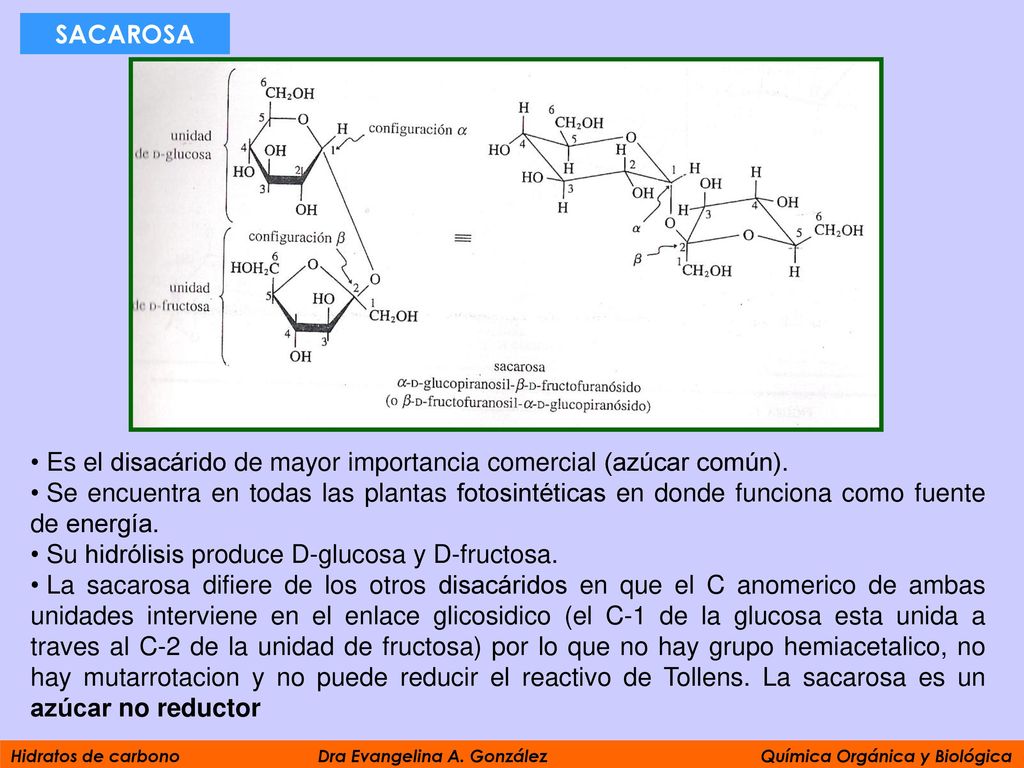 Es el disacárido de mayor importancia comercial (azúcar común).