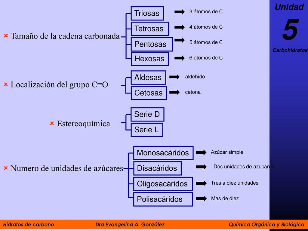 5 Unidad Tamaño de la cadena carbonada Localización del grupo C=O